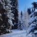 Зимняя красота Тарусы. Фото Рудольфа Щербачева, 2010 г.